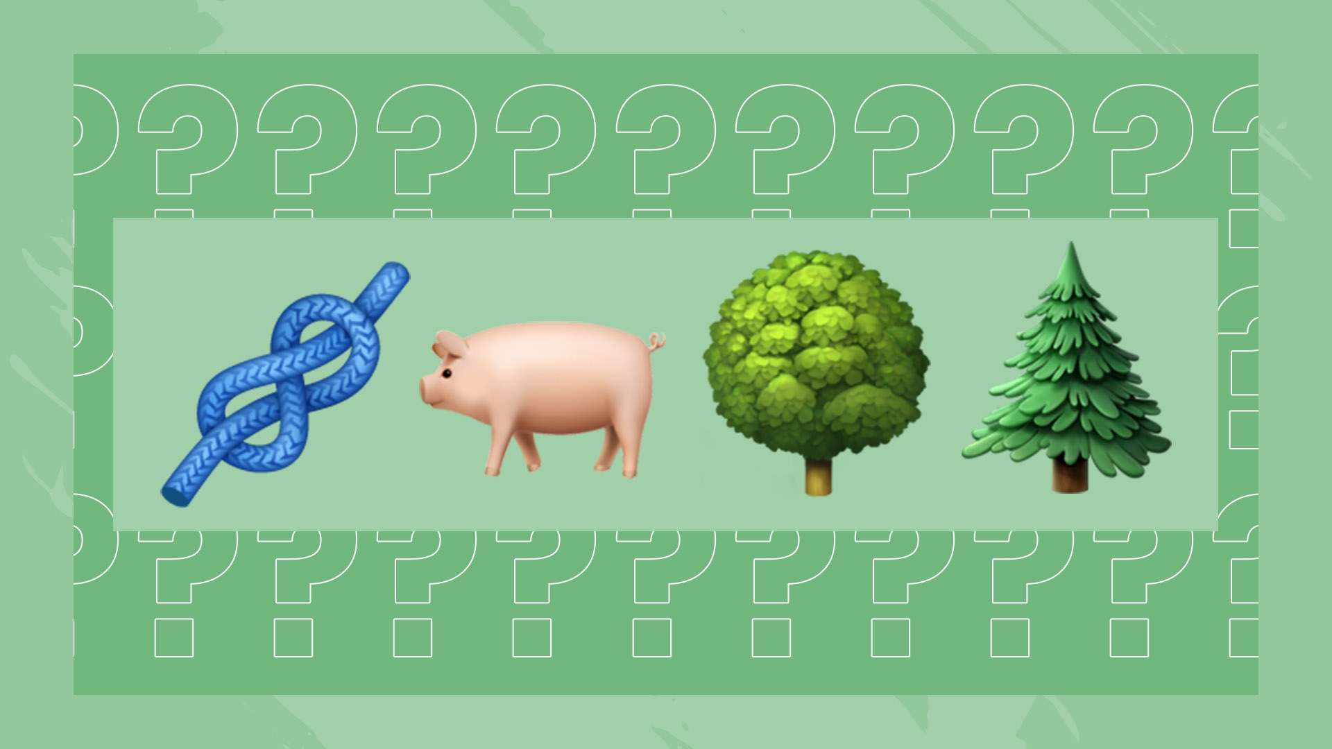 中超联赛增 中超联赛增